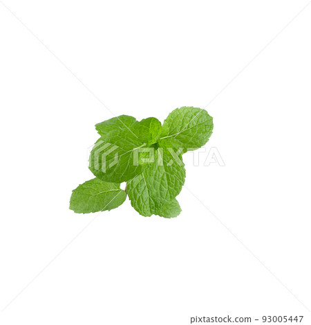 Green Mint leaves isolated on a white background 93005447