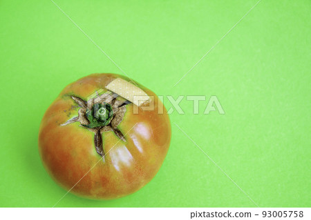 Adhesive plaster on tomato wound 93005758