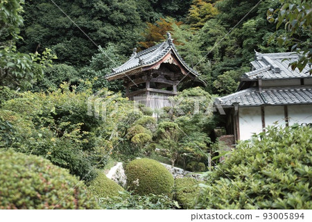 Senshukuji Temple_Deep green trees 93005894