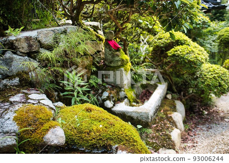船宿寺_苔石和地藏 93006244