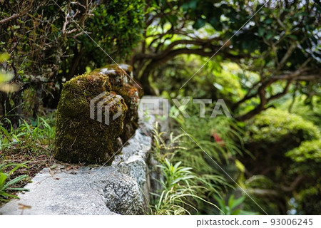 船宿寺_苔蘚覆蓋的岩石 93006245