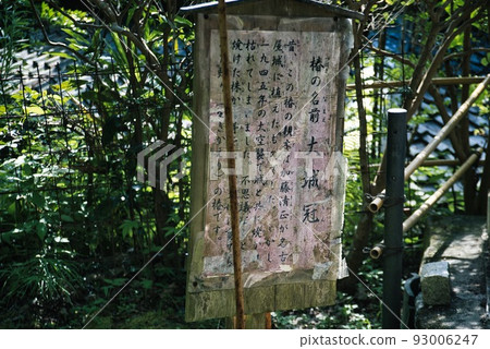 仙宿寺 _ 山茶花 _ Oshirokan 93006247
