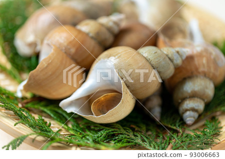 fresh white mussels 93006663