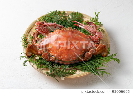 freshly boiled blue crab freshly boiled blue crab 93006665