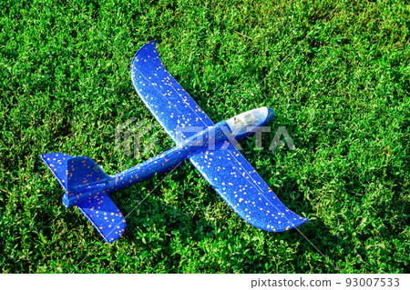 plane on the grass 93007533