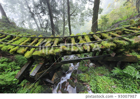 Jianqing Huaigu Trail Forest Taiping Mountain Yilan Taiwan 93007987