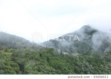 太平山 森林 宜蘭 台灣 93008011