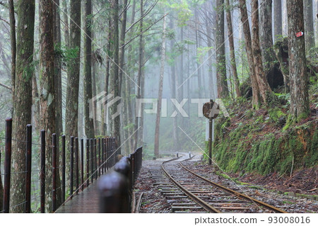 茂興 森林 太平山 宜蘭 台灣 93008016