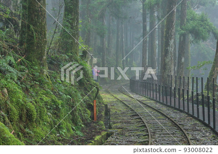 茂興 森林 太平山 宜蘭 台灣 93008022