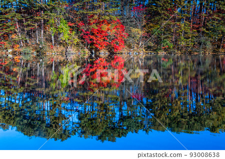[Fukushima Prefecture Urabandai] Goshikinuma (Mohanuma/Yaginuma) hair storm and autumn leaves, October 93008638