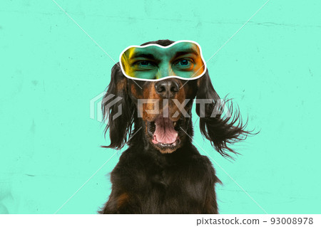 Contemporary art collage with breed dog with human eyes expressing different emotions isolated over cyan color background. Magazine style 93008978