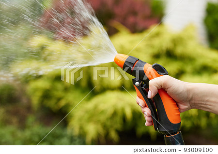 woman watering plant in garden in summer 93009100