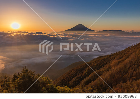 (山梨縣)富士山漂浮在the海日出 (山梨縣)富士山漂浮在the海日出 93009968