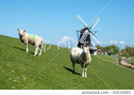 Windmill, Pellworm, Germany Windmill, Pellworm, Germany 93010805