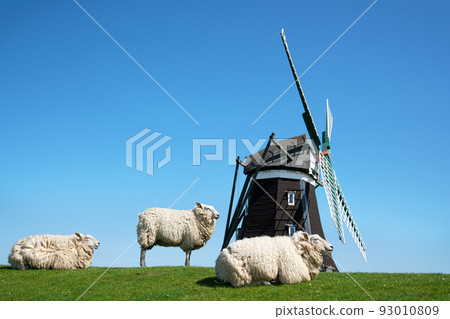Windmill, Pellworm, Germany Windmill, Pellworm, Germany 93010809