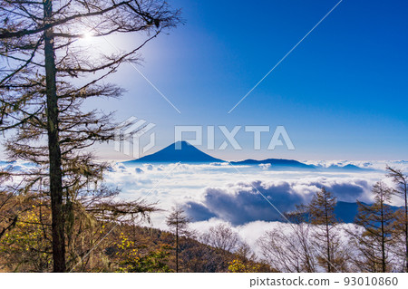 （山梨縣）從櫛形山腳下看到的漂浮在雲海中的富士山 93010860