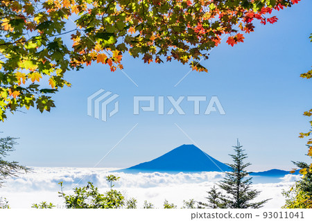（山梨縣）從紅葉開始的櫛形山腳下看到的富士山 93011041
