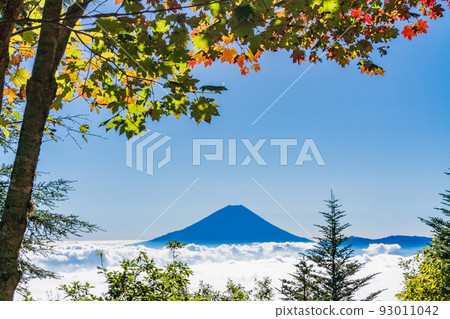 （山梨縣）從紅葉開始的櫛形山腳下看到的富士山 93011042