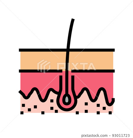 healthy growing hair color icon vector illustration healthy growing hair color icon vector illustration 93011723