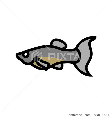 molly fish color icon vector illustration 93011884
