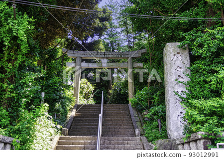東京代代木八幡宮一野鳥居 東京代代木八幡宮一野鳥居 93012991