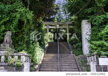 東京代代木八幡宮一野鳥居 東京代代木八幡宮一野鳥居 93012992