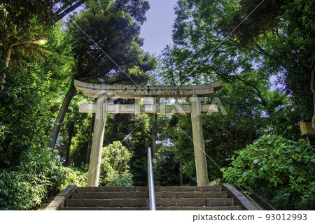東京代代木八幡宮一野鳥居 93012993