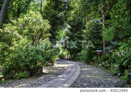 東京代代木八幡宮的方法 93012995