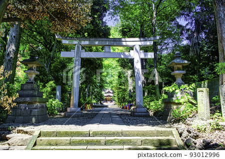 東京代代木八幡宮第二鳥居 93012996