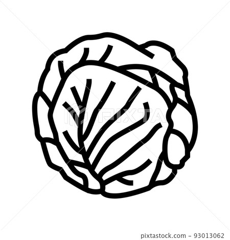 green cabbage line icon vector illustration 93013062
