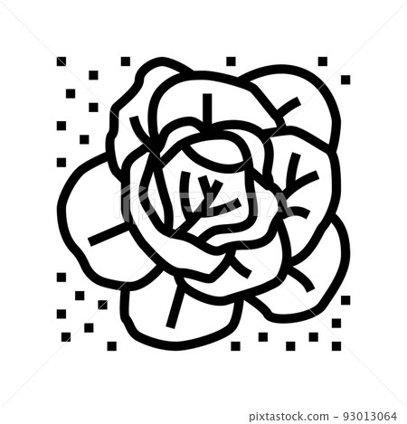 plant cabbage growing on farmland line icon vector illustration plant cabbage growing on farmland line icon vector illustration 93013064