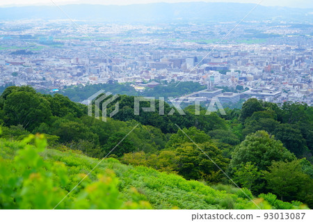 從若草山俯瞰興福寺和奈良縣廳 從若草山俯瞰興福寺和奈良縣廳 93013087