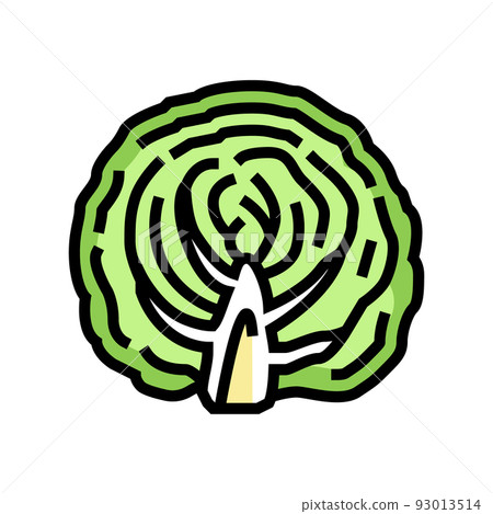 half of cabbage vegetable color icon vector illustration 93013514