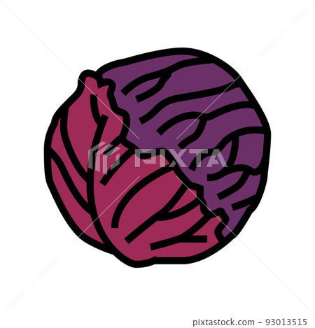 red cabbage color icon vector illustration 93013515