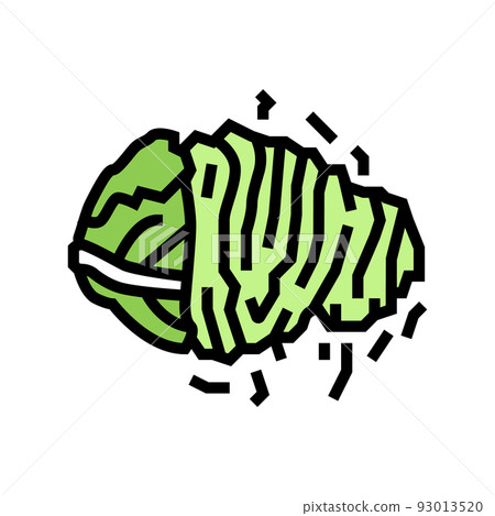 chopped cabbage color icon vector illustration 93013520