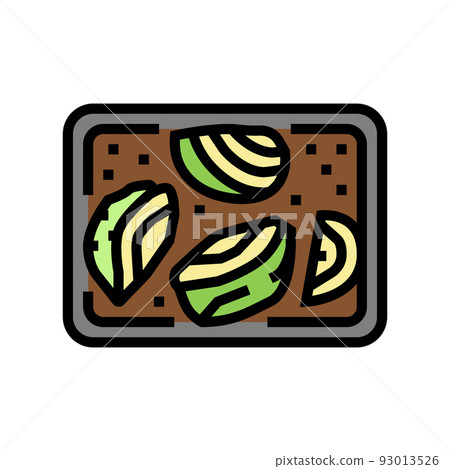 roasted cabbage color icon vector illustration roasted cabbage color icon vector illustration 93013526