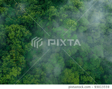 Aerial view of beautiful forest mountain landscape Aerial view of beautiful forest mountain landscape 93013559