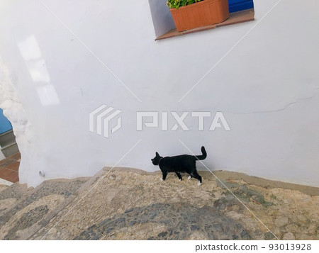 [Spain] The back view of a black and white cat walking in the old town of Frigiliana 93013928