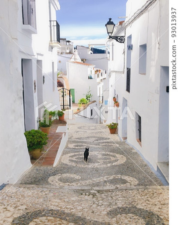 [Spain] The back view of a black and white cat walking in the old town of Frigiliana 93013937