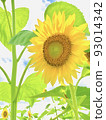 夏日天空中歡快的向日葵 93014342