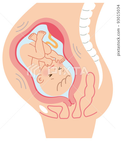 即將早產，子宮中的嬰兒，懷孕期間的母體機制 93015034