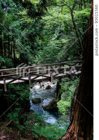 Ryujin Falls in Nakatsugawa City, Gifu Prefecture 93015560