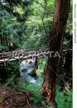 岐阜縣中津川市的龍神瀑布 93015562