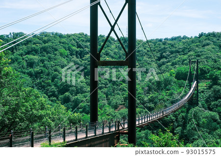 【#Osaka】Star Swing 03 93015575