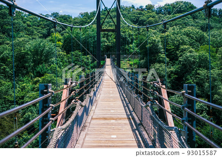 【#Osaka】Hoshi no Swing 15 93015587