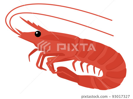 [Vector] Hand-drawn style illustration of a raw shrimp. A whole fresh red shrimp for sashimi, cutout material on a white background. 93017327