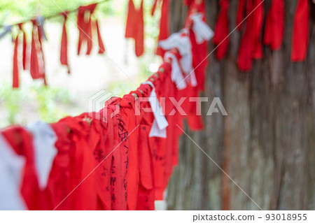 遠野市的能量點“臼鳥神社”#4 93018955