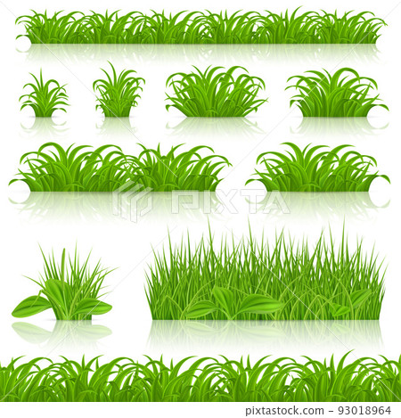 Green Grass 93018964