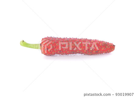 Long pepper isolated on white background 93019907