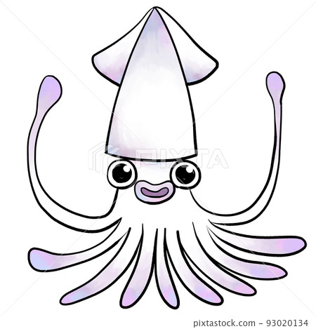 Squid illustration watercolor style 93020134